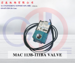 MAC 113B-111BA Valve