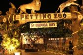 Danga Bay