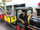 Mini Train