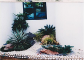 GARDENING/LANDSCAPE DESIGN @ ˇ  