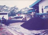 FACTORY TAMPOI JIT