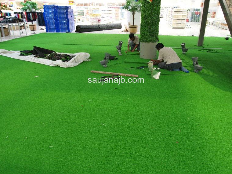 Carpet Grass In House