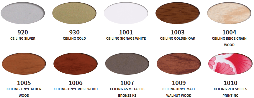 SK_Strip_Ceiling_Types