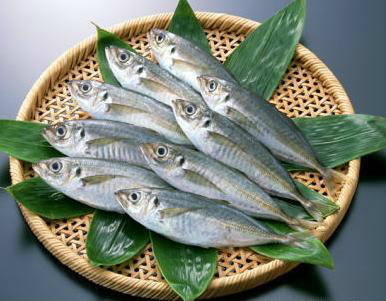 aji (horse mackerel)