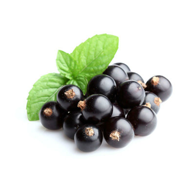 blackcurrant
