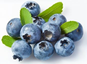 bilberry
