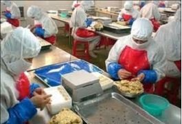 Good Manufacturing Practices for Food