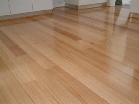 American White Oak