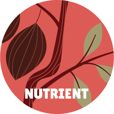 NUTRIENT