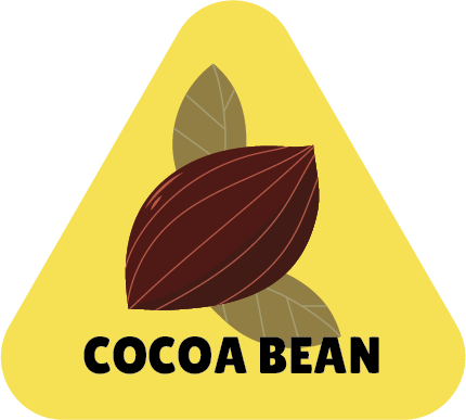 COCOA BEAN