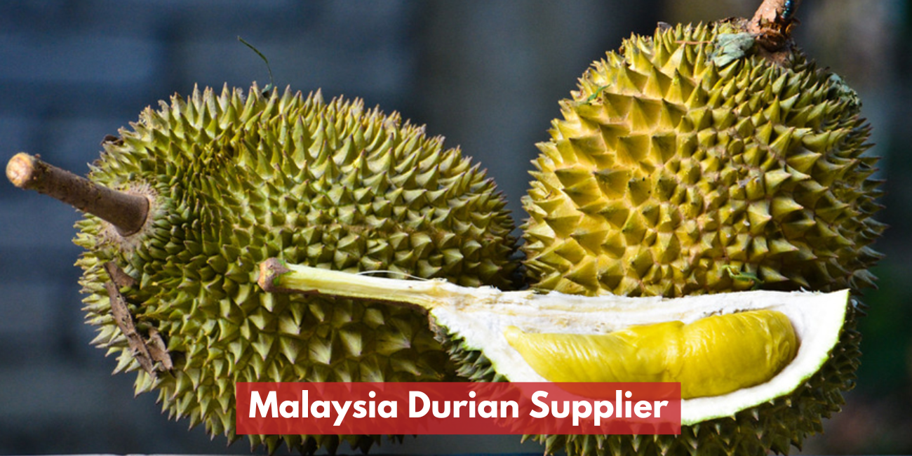 Malaysia Durian Supplier