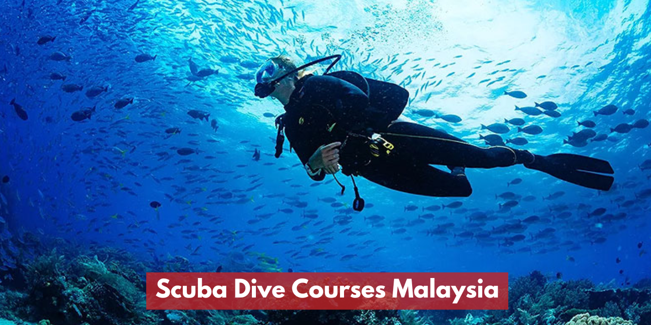 Scuba Dive Courses Malaysia