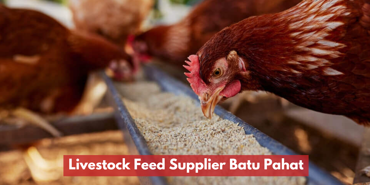 Chicken Feed / Livestock Feed Supplier Batu Pahat