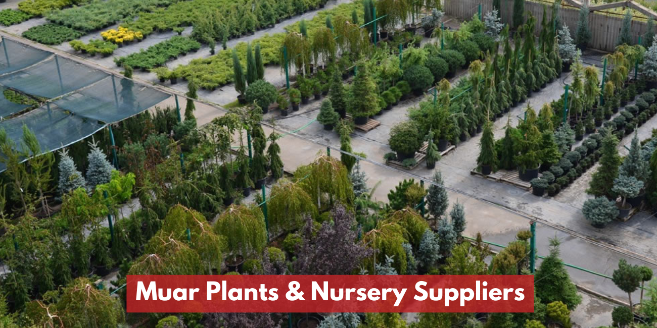 Muar Plants & Nursery Suppliers