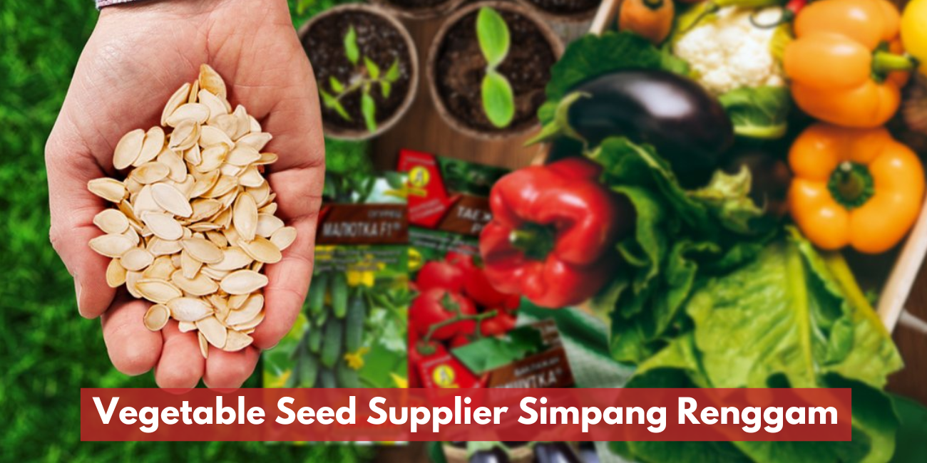 Vegetable Seed Supplier Simpang Renggam