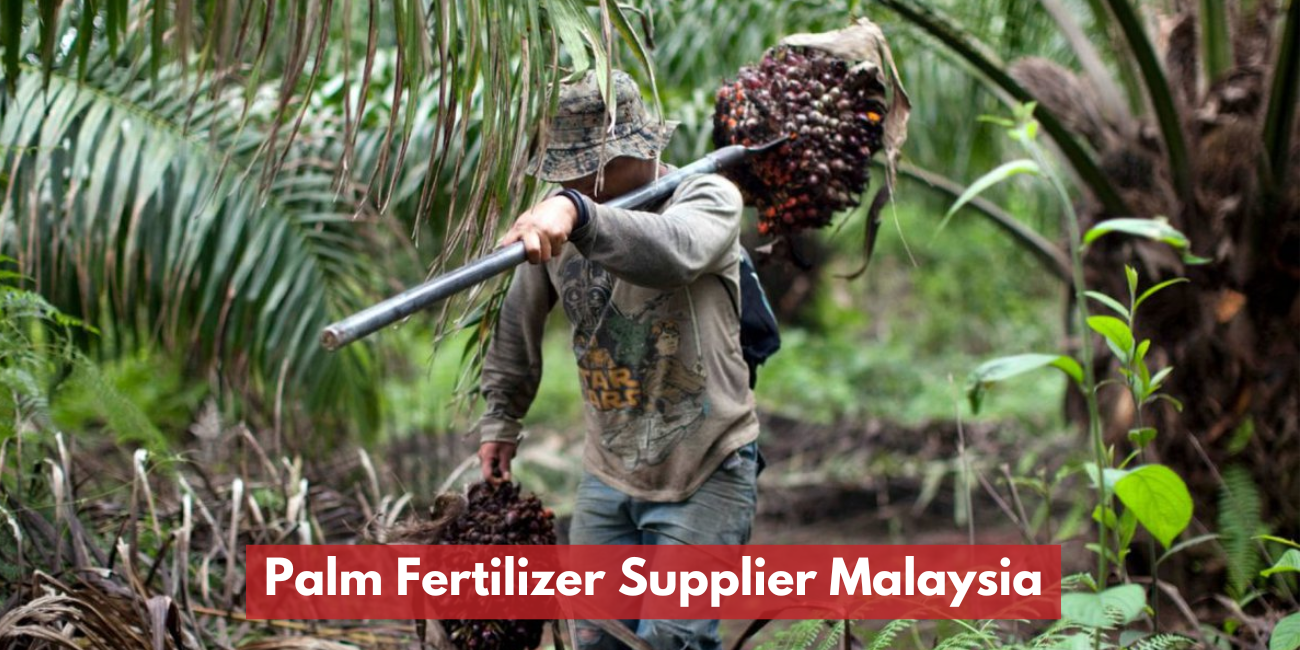 Malaysia Palm Fertilizers Supplier