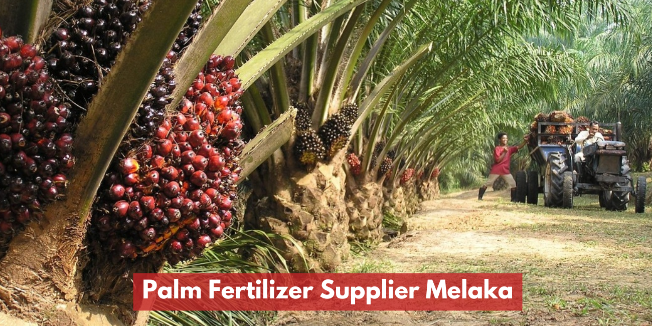 Melaka Palm Fertilizers Supplier