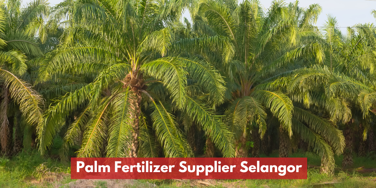 Selangor Palm Fertilizers Supplier