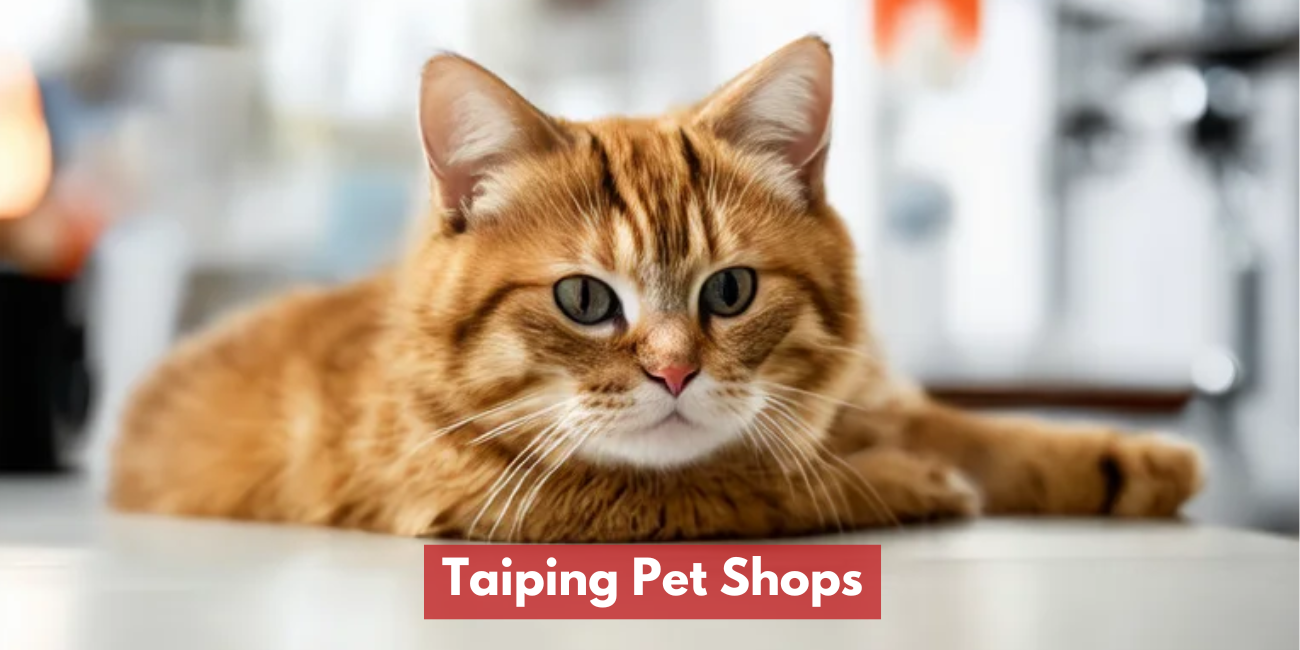 Taiping Pet Shops