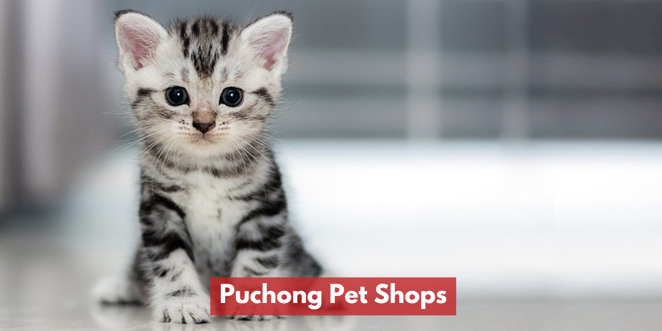Puchong Pet Shops