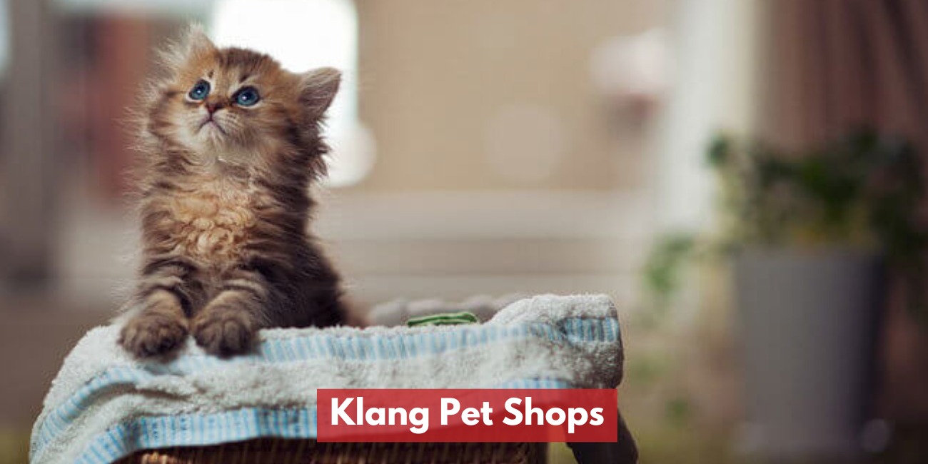 Klang Pet Shops