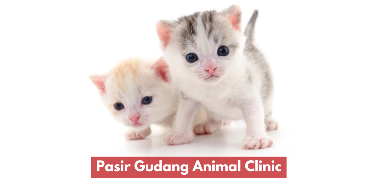 Pasir Gudang Animal Clinic