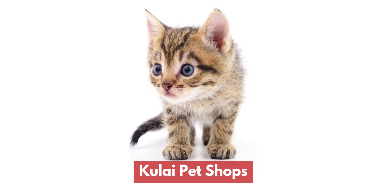 Kulai Pet Shops