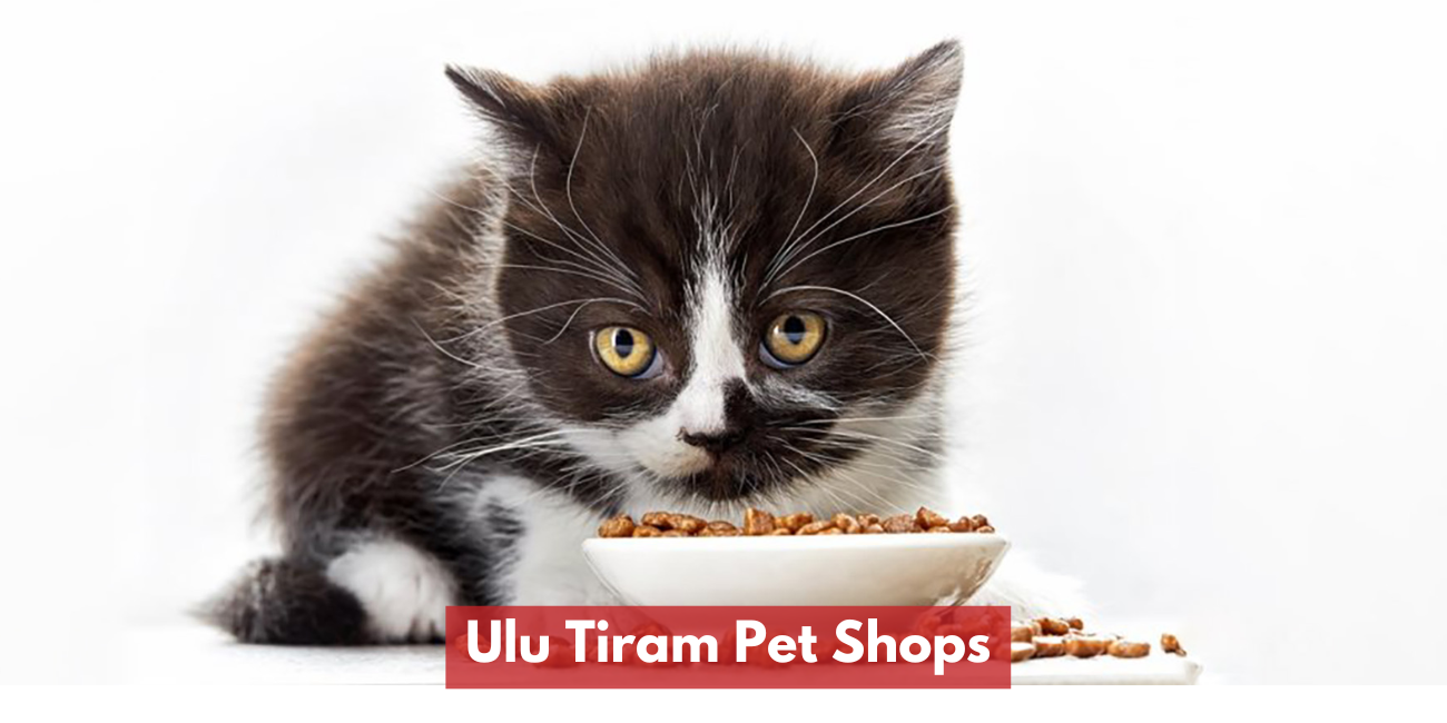 Ulu Tiram Pet Shops