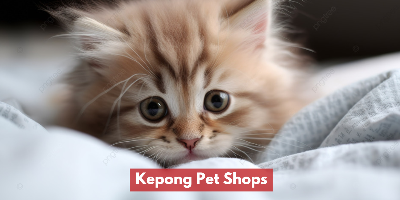 Kepong Pet Shops