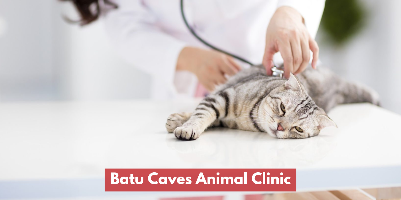 Batu Caves Animal Clinic