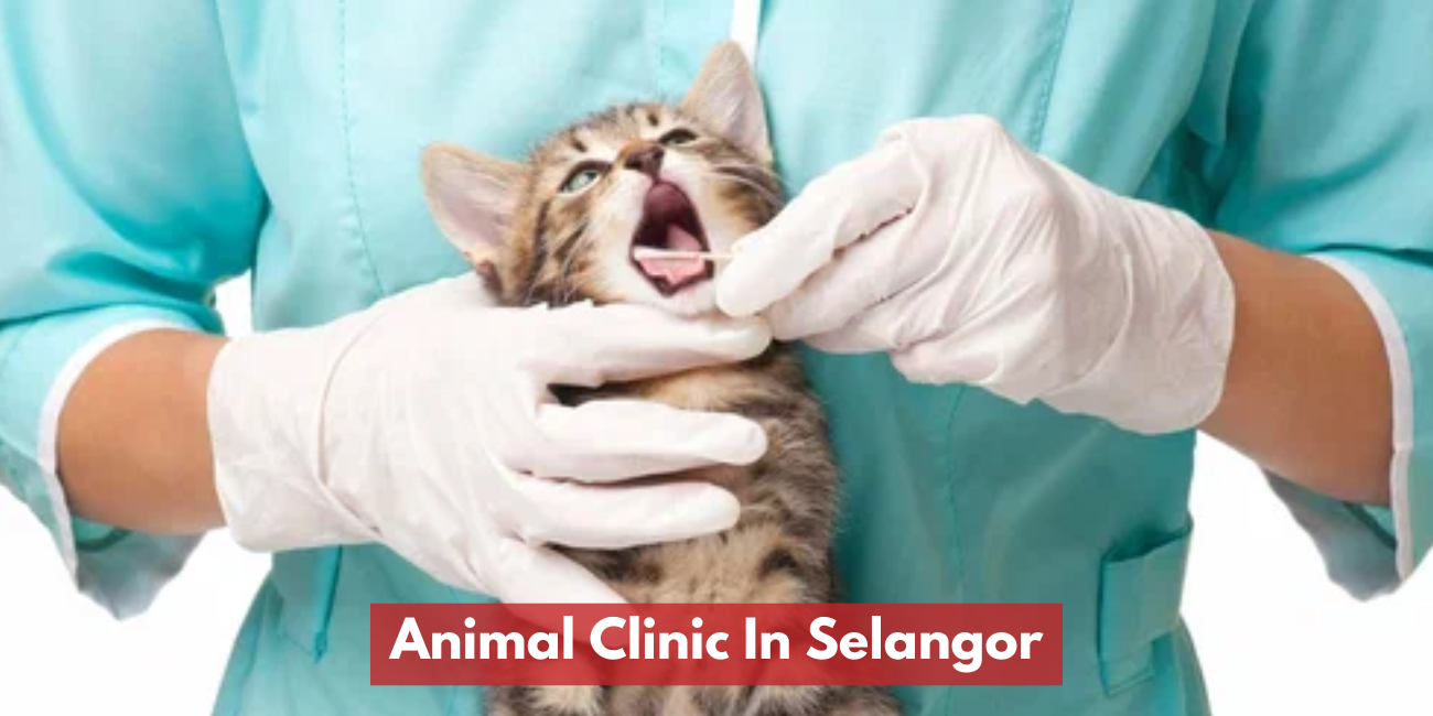Animal Clinic In Selangor
