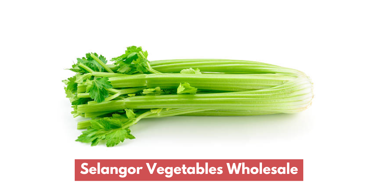 Borong Sayur Selangor