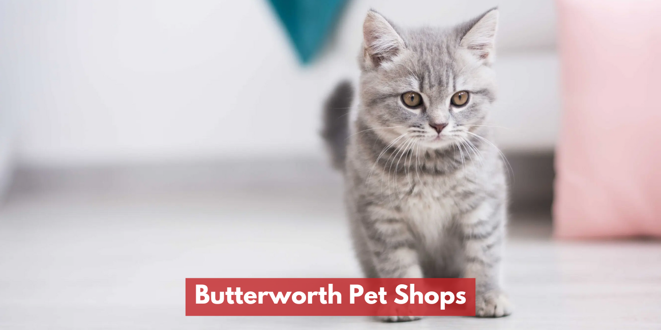 Butterworth Pet Shops