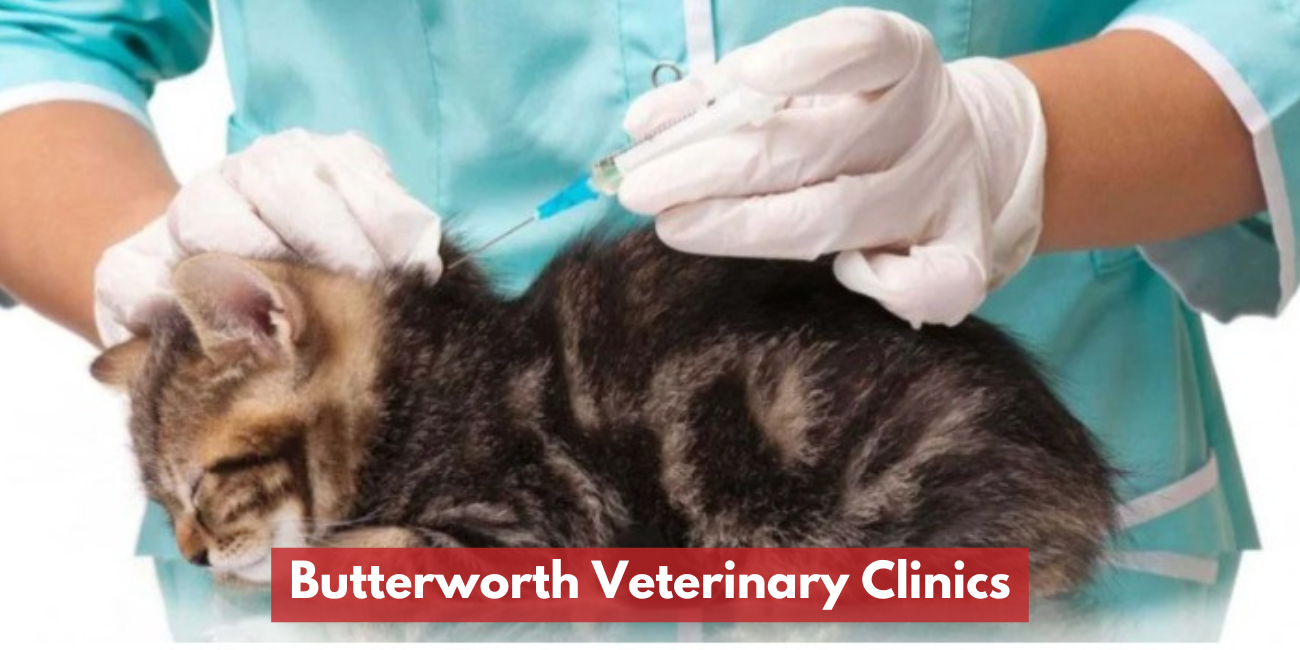 Klinik Veterinar Butterworth
