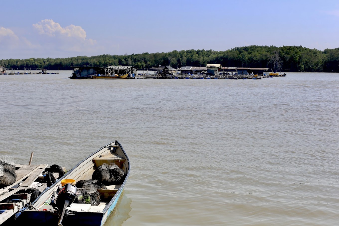 Kukup Laut