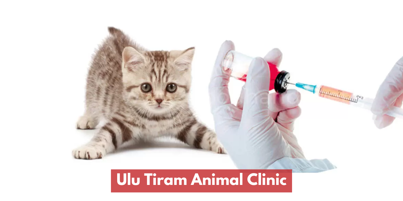 Ulu Tiram Animal Clinic