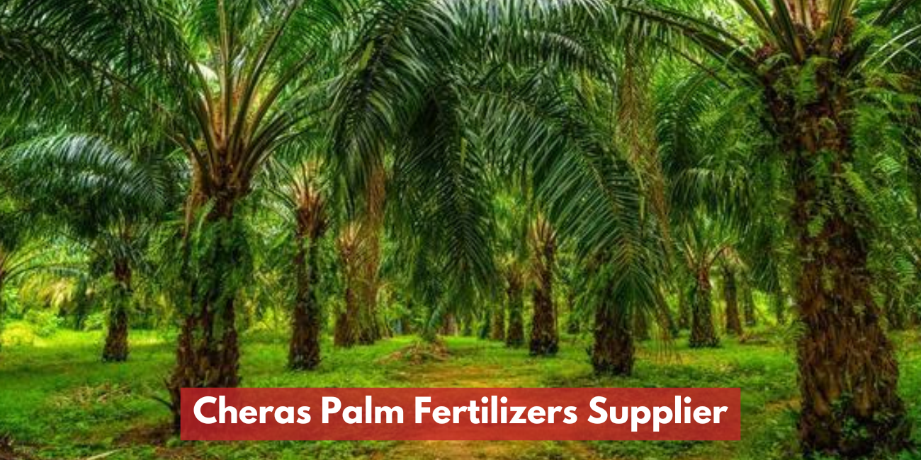 Cheras Palm Fertilizers Supplier