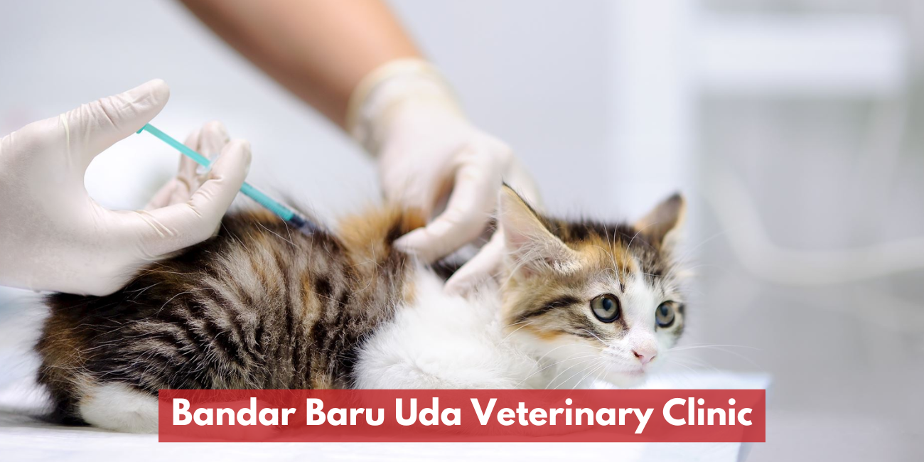 Bandar Baru Uda Veterinary Clinic