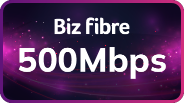 BizFibre 500