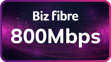 BizFibre 800