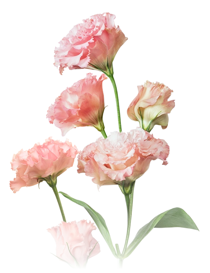 CKH Unique Florist & House