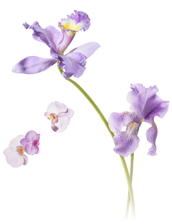 CKH Unique Florist & House