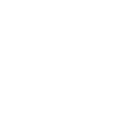 +6012-278 1533