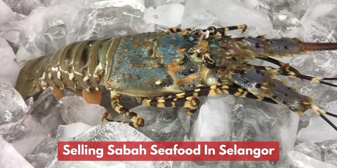 Selling Sabah Seafood In Selangor