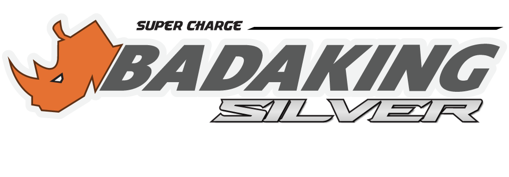 BADAKING SILVER