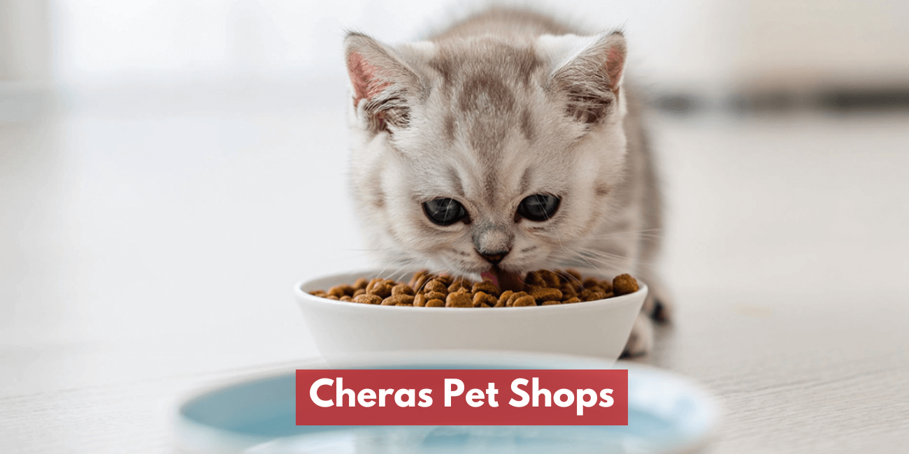 Cheras Pet Shops