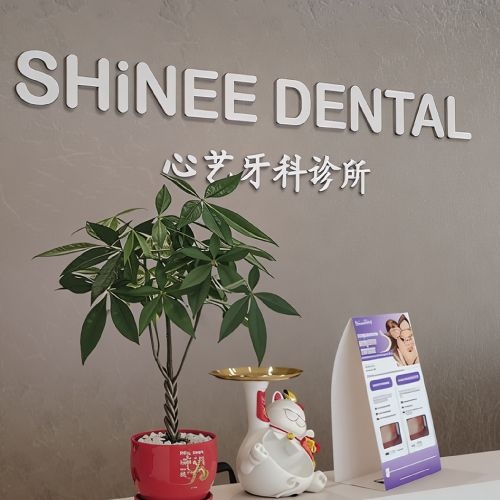 Dental Clinic in JB | Gentle & Affordable Dental Care for Singapore Patients – Shinee Dental