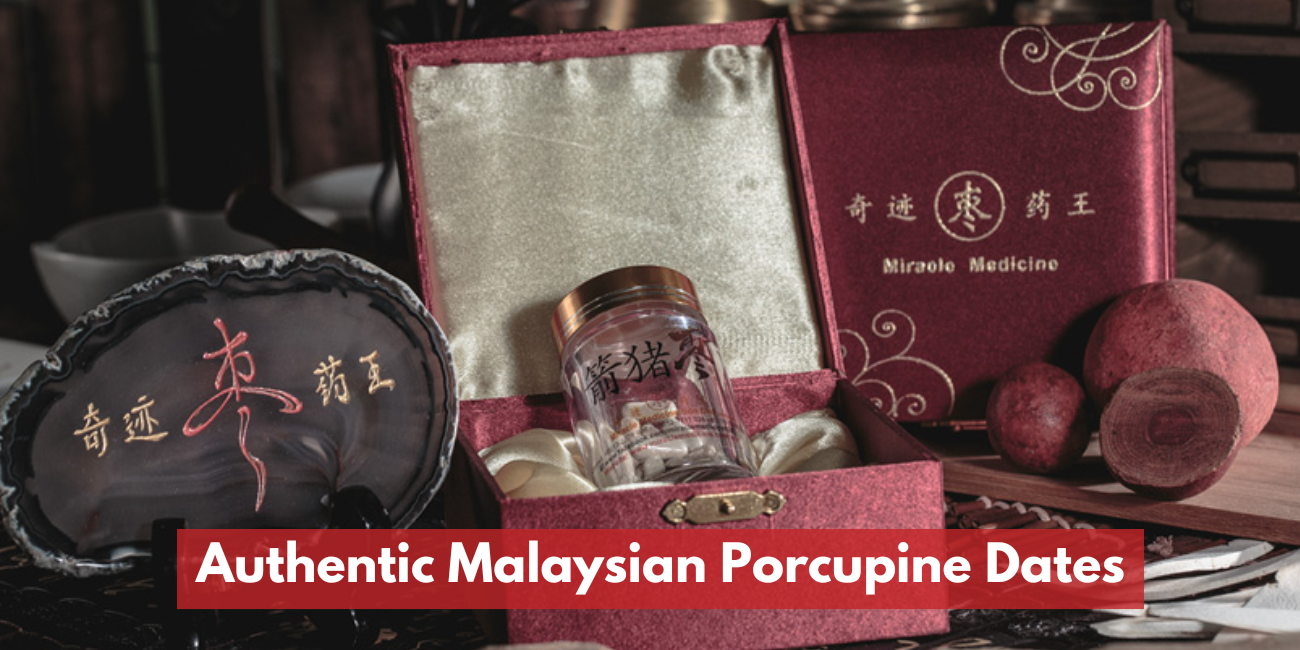 马来西亚正宗合法箭猪枣