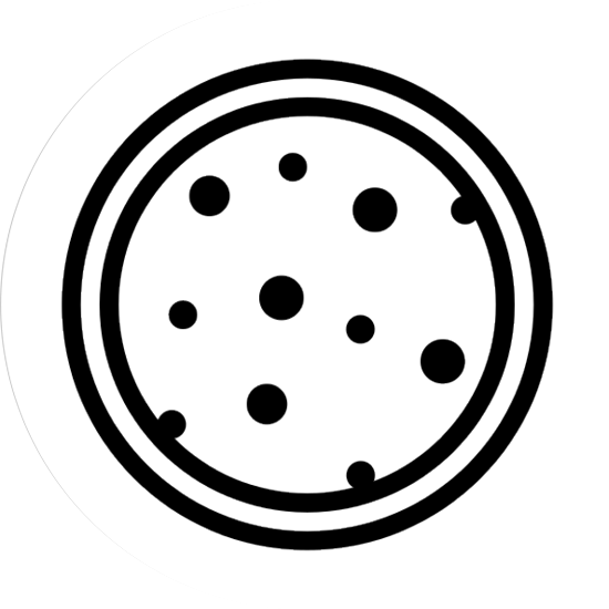 Comedones, papules and pustules