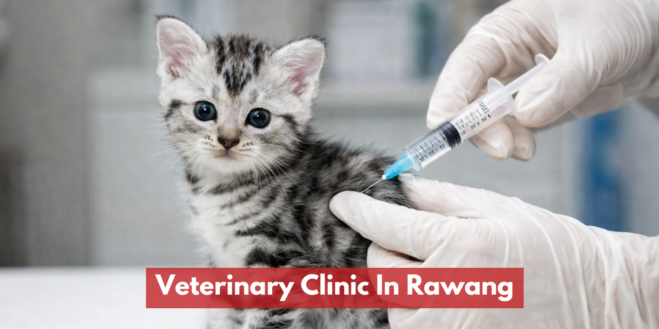 Veterinary Clinic In Rawang